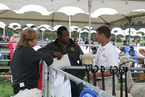 Parade of Champions Alpaca Auction Hightlights #2