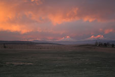 Crescent Moon Alpaca Ranch