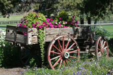 Crescent Moon Alpaca Ranch