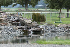 Crescent Moon Alpaca Ranch