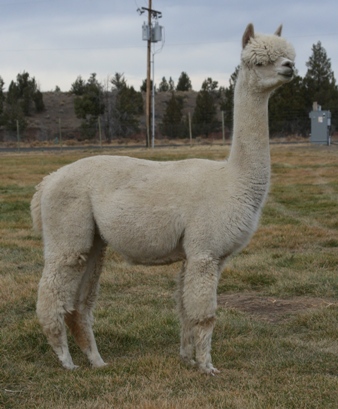 1223422 - Photo 1