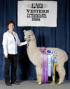 1156331 - Photo 2