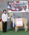 1156331 - Photo 4