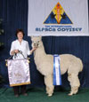 1156331 - Photo 5
