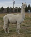 1223422 - Photo 1