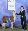 30038431 - Photo 2