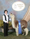 30038431 - Photo 3