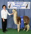 30038431 - Photo 4