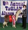 30038431 - Photo 5