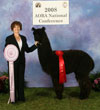 30038592 - Photo 2