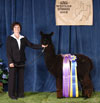 30038592 - Photo 3