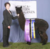 30038592 - Photo 4
