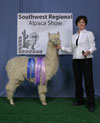 30842373 - Photo 1