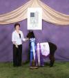 30842595 - Photo 4