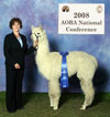 30842670 - Photo 2