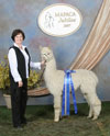 30842670 - Photo 4