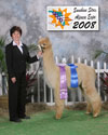30842786 - Photo 4