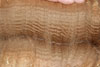 31066891 fleece