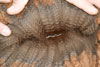 31067096 fleece