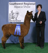31067096 - Photo 2