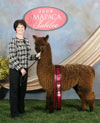 31067096 - Photo 3