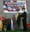 31067423 - Photo 2