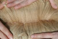 31068093 fleece