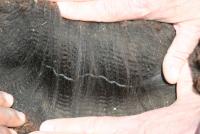 31068239 fleece