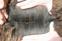 31357395 fleece
