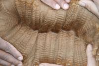 31357739 fleece