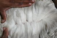 31357746 fleece