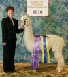 31357746 - Photo 2