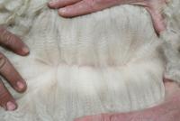 31358293 fleece