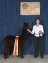 848063 - Photo 2